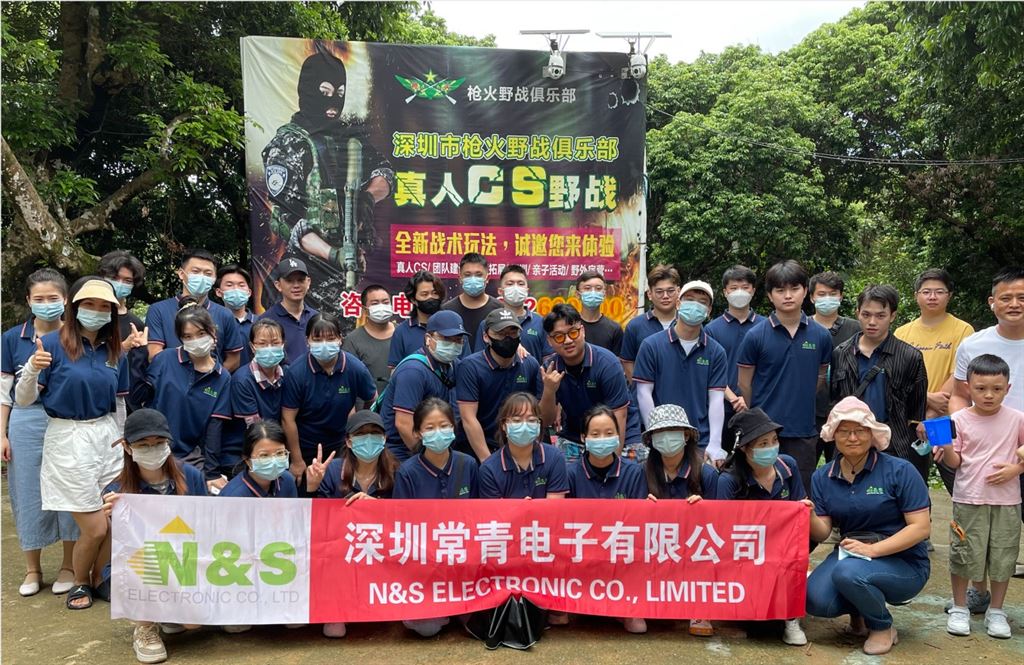 N&S Electronic Co., Limited Company Profile